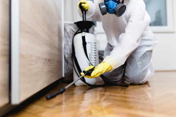 Best Insect Control  in Linglestown, PA