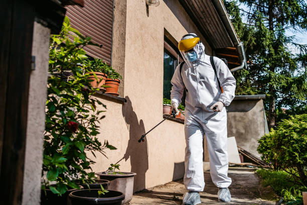 Best Flea Control Services  in Linglestown, PA