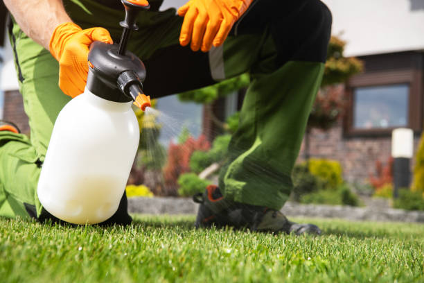 Best Wasp Removal Services  in Linglestown, PA