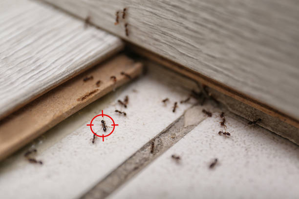 Best Commercial Pest Control Services  in Linglestown, PA