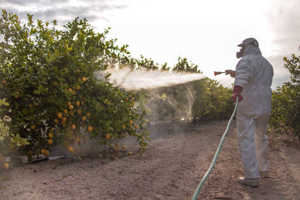 Professional Pest Control in Linglestown, PA