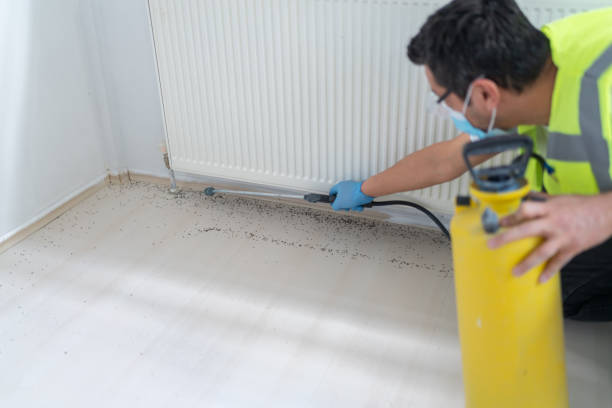 Best Termite Control Services  in Linglestown, PA
